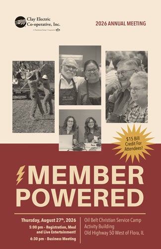 Annual Meeting book cover
