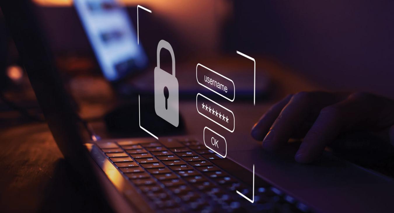 Person logging into internet