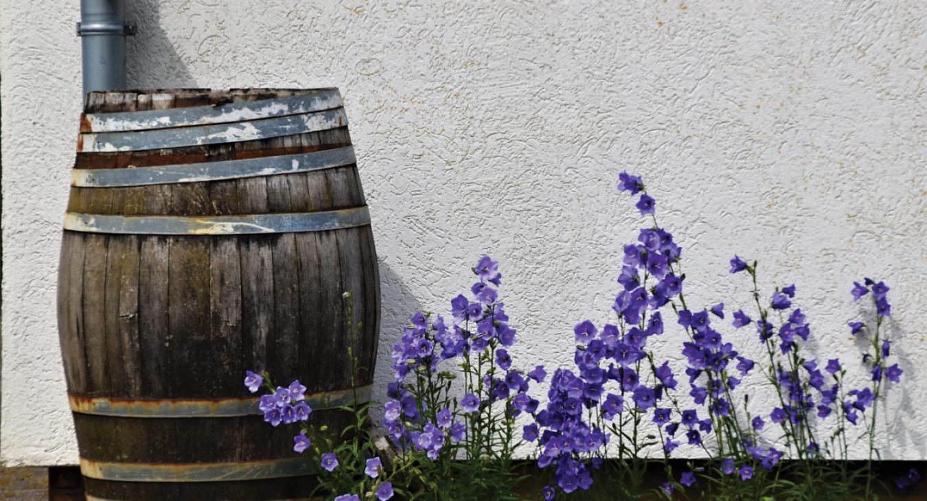 Rain barrel